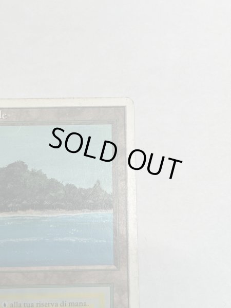 画像3: 《Tropical Island》 3ED Poor イタリア語 (3)