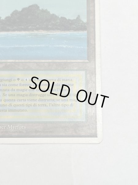 画像5: 《Tropical Island》 3ED Poor イタリア語 (5)