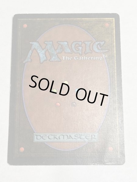 画像6: 《Tropical Island》 3ED Poor イタリア語 (6)