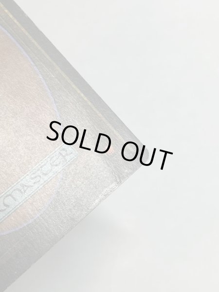 画像7: 《Tropical Island》 3ED Poor イタリア語 (7)