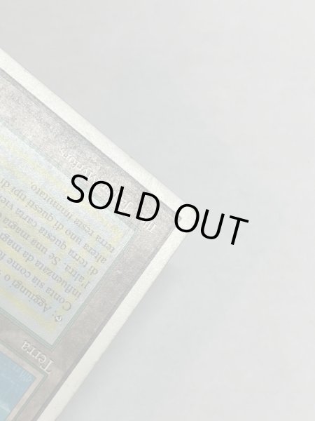 画像8: 《Tropical Island》 3ED Poor イタリア語 (8)