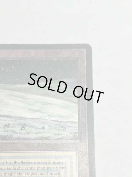 画像3: 《Tundra》[3EDBB]  HP イタリア語 (3)