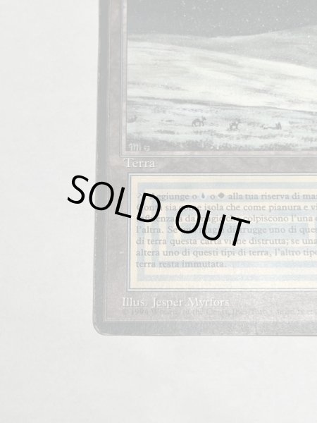 画像4: 《Tundra》[3EDBB]  HP イタリア語 (4)