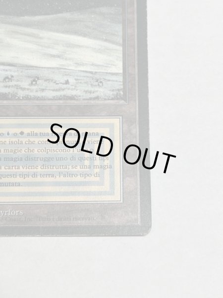 画像5: 《Tundra》[3EDBB]  HP イタリア語 (5)