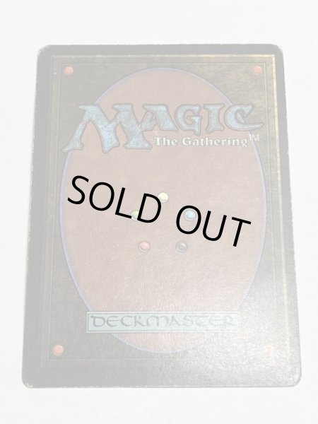 画像6: 《Tundra》[3EDBB]  HP イタリア語 (6)