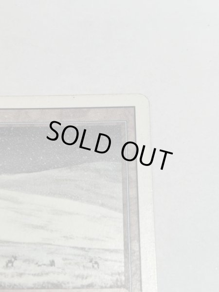 画像3: 《Tundra》3ED MP (3)