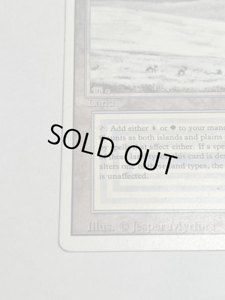 画像4: 《Tundra》3ED MP (4)