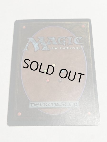 画像6: 《Tundra》3ED MP (6)