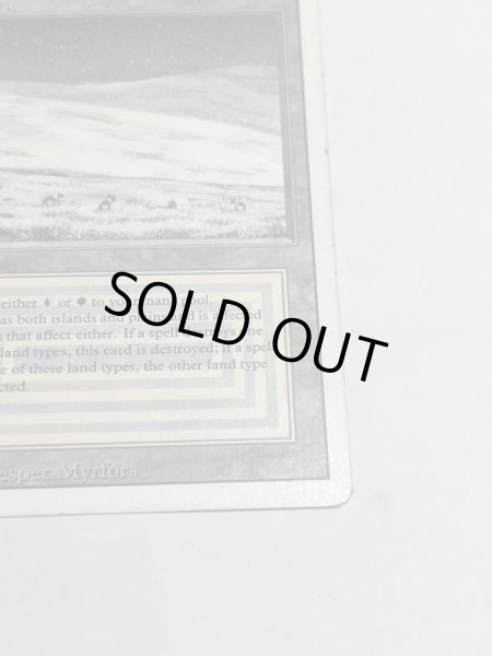 画像5: 《Tundra》3ED HP (5)