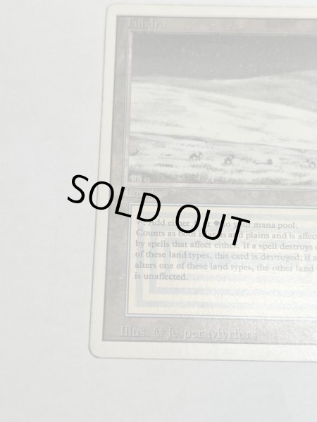 画像4: 《Tundra》3ED HP (4)