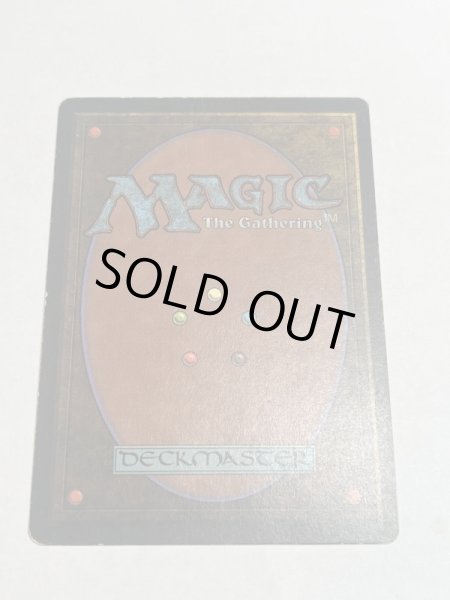 画像6: 《Tundra》3ED HP (6)