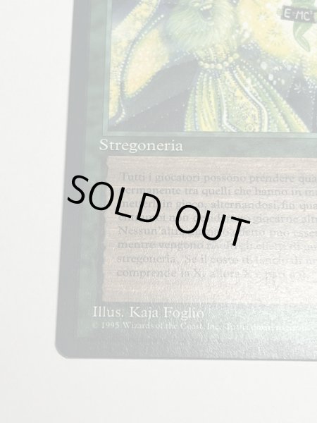 画像4: イタリア語《Eureka》[LEG] NM (4)