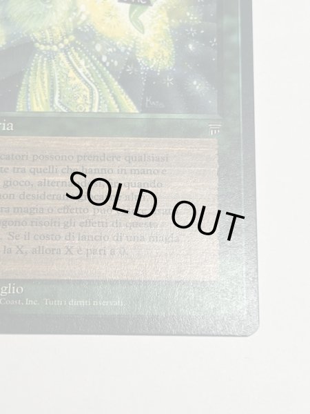 画像5: イタリア語《Eureka》[LEG] NM (5)