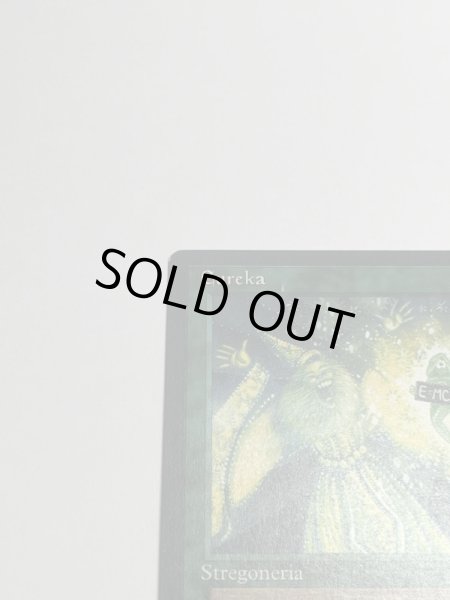 画像2: イタリア語《Eureka》[LEG] SP (2)