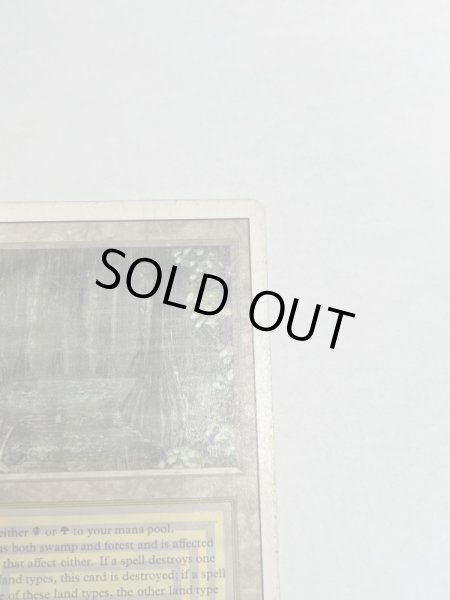 画像3: 《Bayou》[3ED] HP (3)