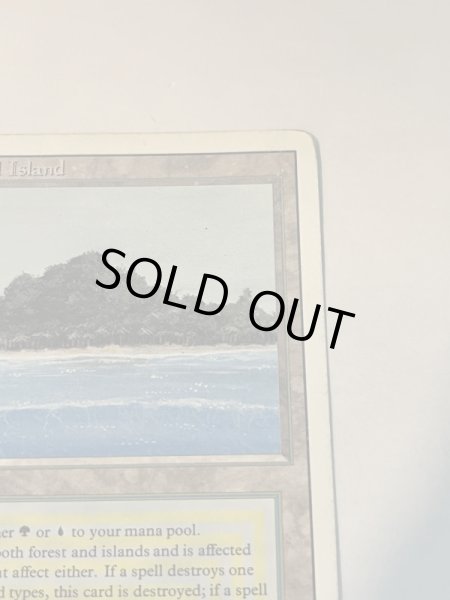 画像3: 《Tropical Island》 3ED HP (3)