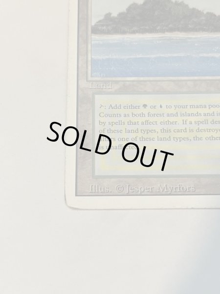 画像4: 《Tropical Island》 3ED HP (4)