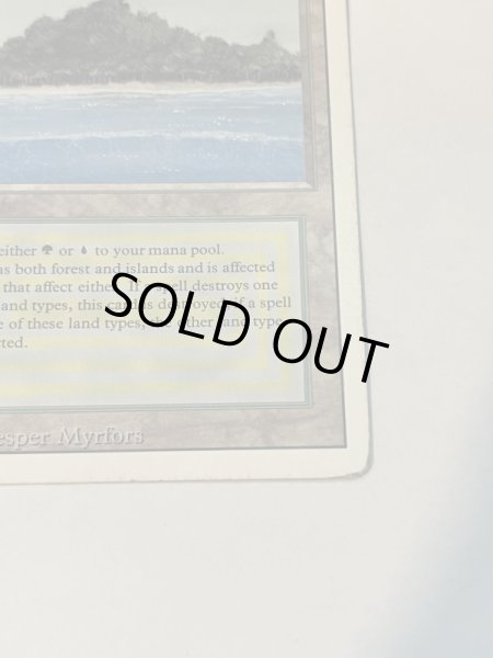 画像5: 《Tropical Island》 3ED HP (5)