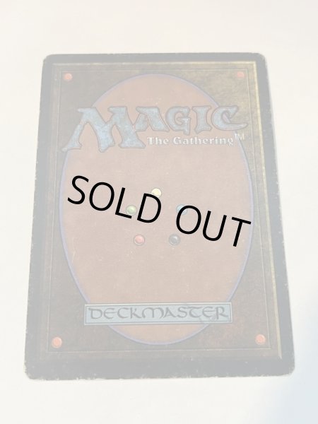 画像6: 《Tropical Island》 3ED HP (6)