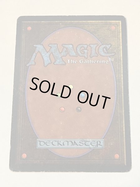 画像6: 《Tropical Island》 3ED HP (6)