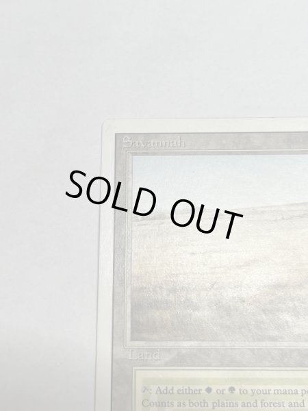 画像2: 《Savannah》[3ED] SP (2)