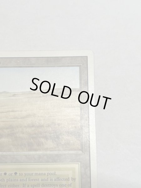 画像3: 《Savannah》[3ED] SP (3)