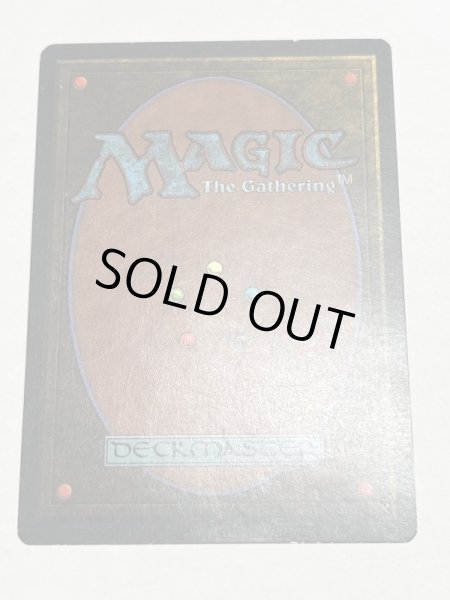 画像6: 《Savannah》[3ED] SP (6)