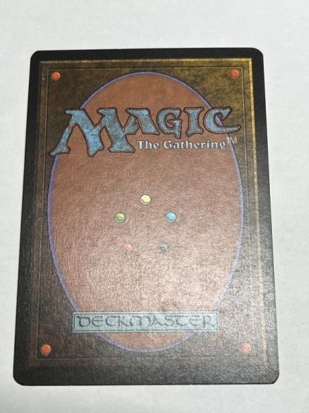 画像6: 《Taiga》3ED MP (6)