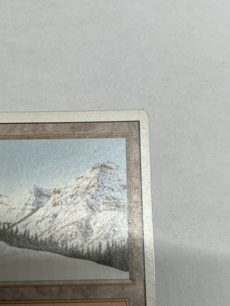 画像3: 《Taiga》3ED MP (3)