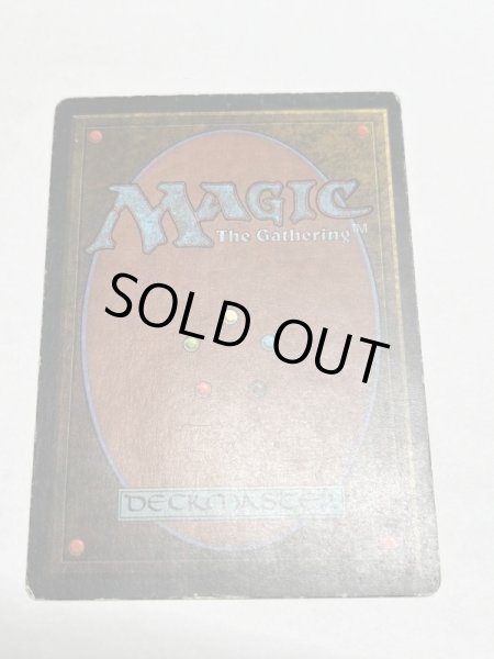 画像6: 《Tundra》3ED HP (6)