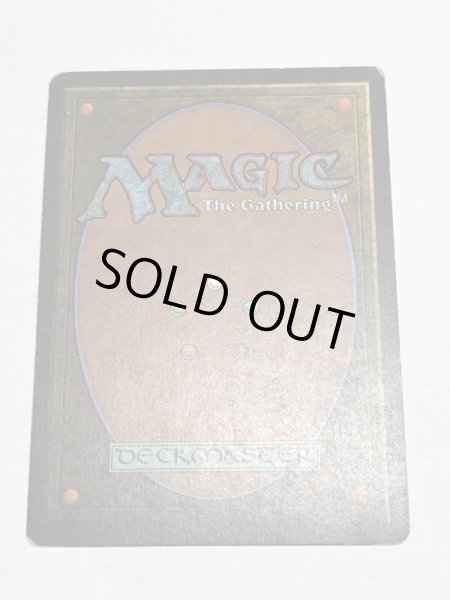 画像6: 《Tundra》3ED HP (6)