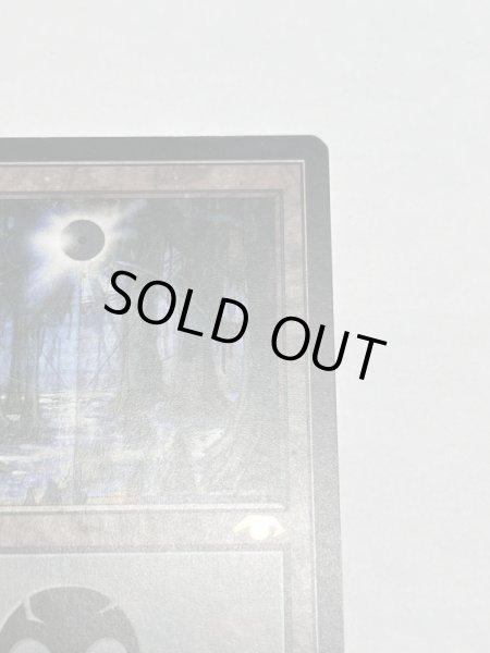 画像3: 《沼/Swamp》[Guruランド] SP (3)