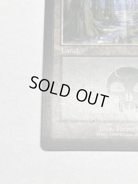 画像4: 《沼/Swamp》[Guruランド] SP (4)