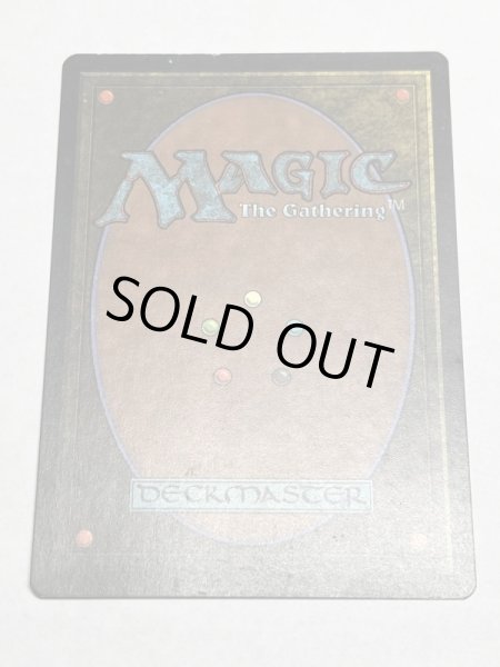 画像6: 《沼/Swamp》[Guruランド] SP (6)