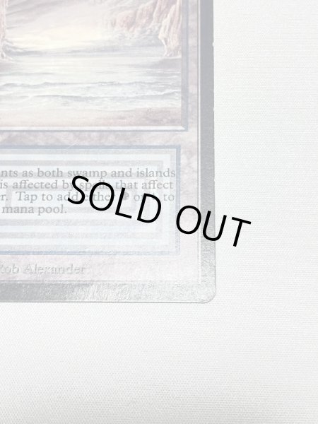 画像5: 《Underground Sea》[LEB] Poor (5)