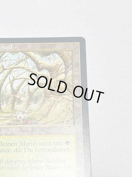 画像3: ドイツ語《ガイアの揺籃の地/Gaea's Cradle》[USG] NM (3)