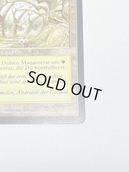 画像5: ドイツ語《ガイアの揺籃の地/Gaea's Cradle》[USG] NM (5)