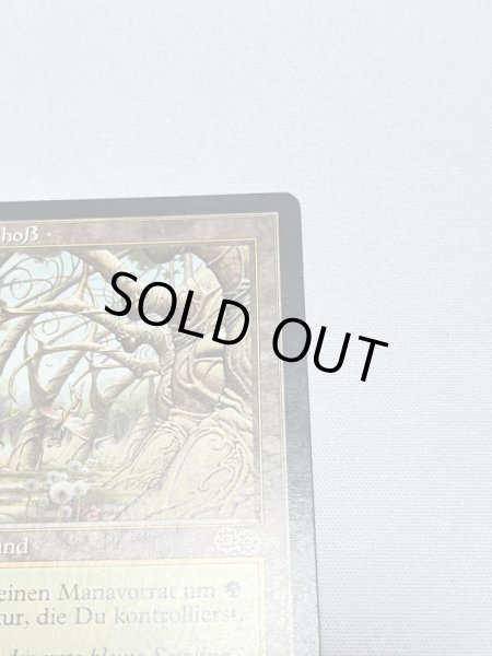 画像3: ドイツ語《ガイアの揺籃の地/Gaea's Cradle》[USG] SP (3)