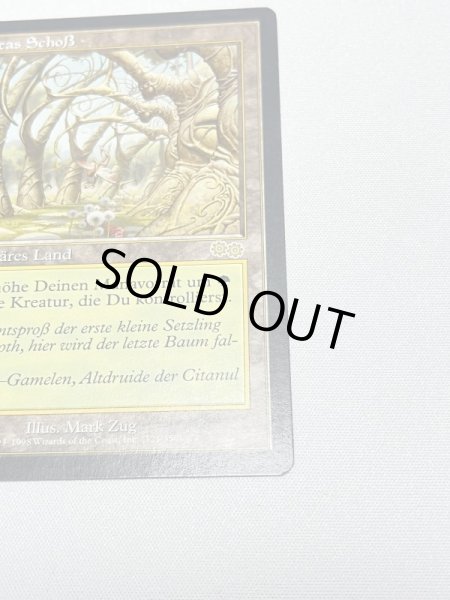 画像5: ドイツ語《ガイアの揺籃の地/Gaea's Cradle》[USG] SP (5)