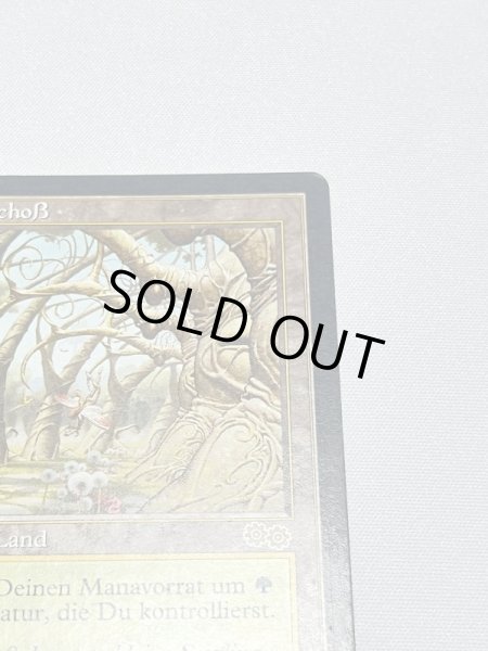 画像3: ドイツ語《ガイアの揺籃の地/Gaea's Cradle》[USG] MP (3)