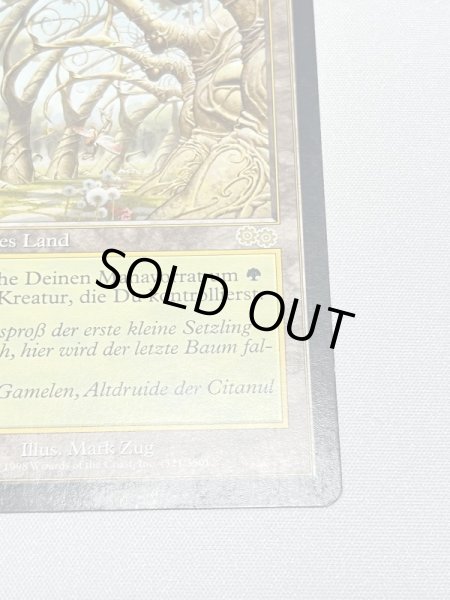 画像5: ドイツ語《ガイアの揺籃の地/Gaea's Cradle》[USG] MP (5)