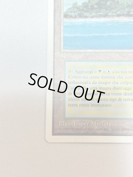 画像4: イタリア語《Tropical Island》[3ED] SP (4)