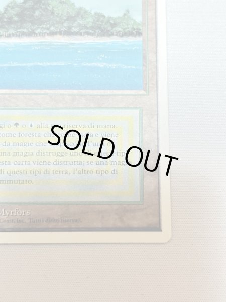 画像5: イタリア語《Tropical Island》[3ED] SP (5)