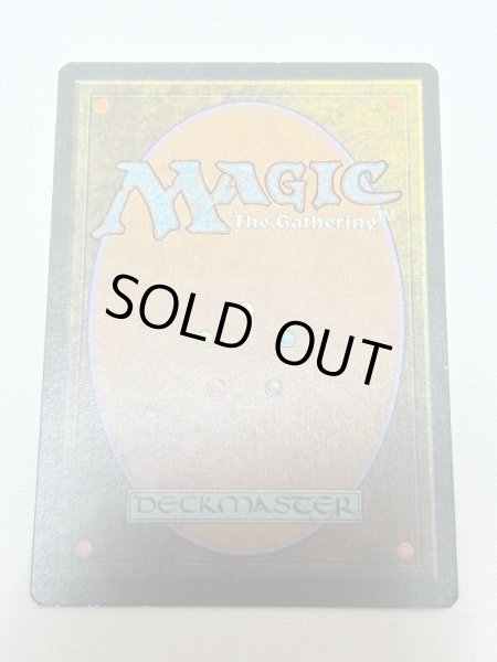 画像6: イタリア語《Tropical Island》[3ED] SP (6)