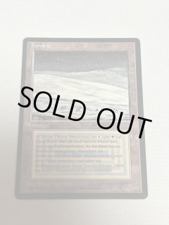 Tundra - MTG専門店 Initiative