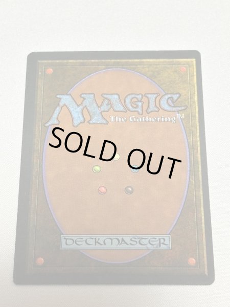 画像6: ドイツ語《Tundra》[3EDBB] MP (6)