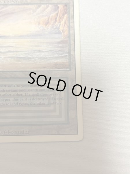 画像5: 《Underground Sea》3ED HP ink (5)