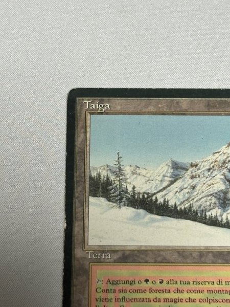 画像2: イタリア語《Taiga》[3EDBB] Poor (2)