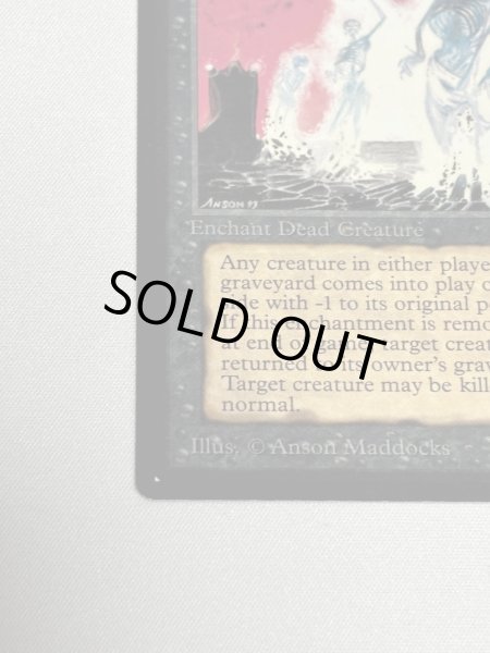 画像4: 《動く死体/Animate Dead》[LEB] NM (4)