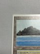 画像2: 《Tropical Island》 3ED SP (2)